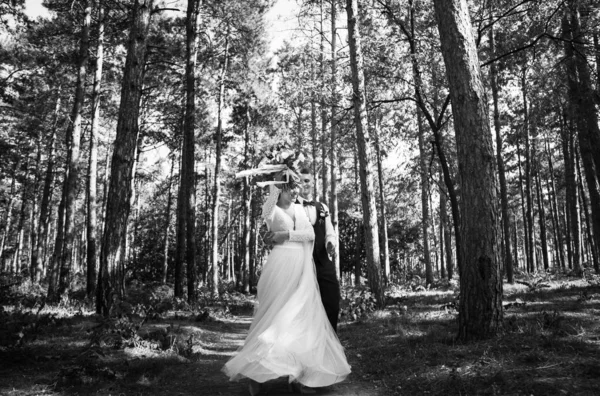 Pareja Elegante Tierna Amor Novia Novio Día Boda Paseo Por — Foto de Stock