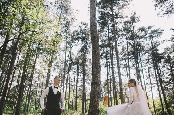 Par Elegante Terno Amor Noiva Noivo Seu Dia Casamento Passeio — Fotografia de Stock