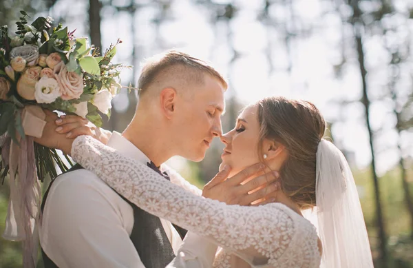 Stylish Tender Couple Love Bride Groom Wedding Day Walk Woods — Stock Photo, Image