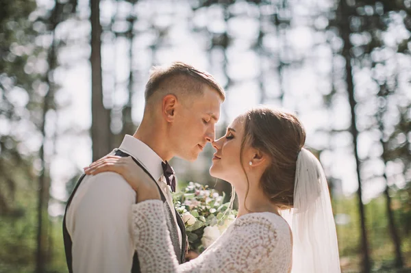 Stylish Tender Couple Love Bride Groom Wedding Day Walk Woods — Stock Photo, Image