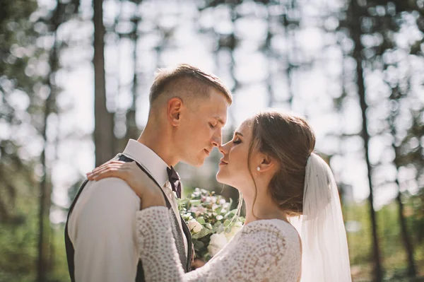 Coppia Elegante Tenera Innamorata Gli Sposi Giorno Del Loro Matrimonio — Foto Stock