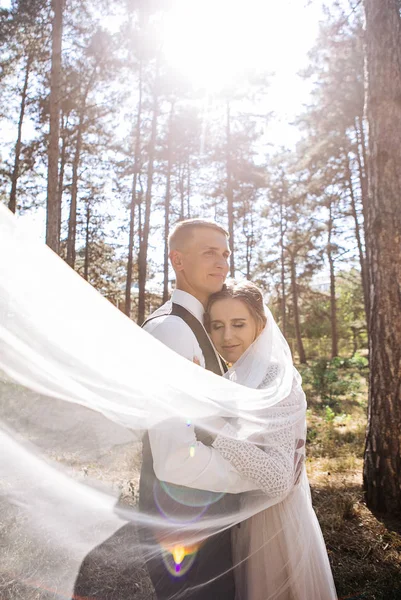 Par Elegante Terno Amor Noiva Noivo Seu Dia Casamento Passeio — Fotografia de Stock