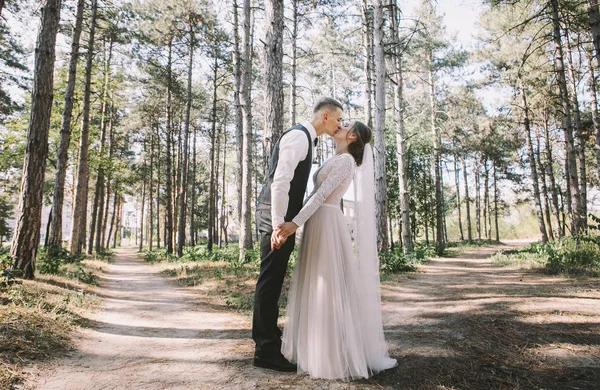 aşık şık ve ihale çift - gelin ve damat - ormanda bir yürüyüş onların düğün günü, gülerek ve sarılma