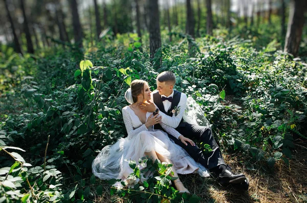 Par Elegante Terno Amor Noiva Noivo Seu Dia Casamento Passeio — Fotografia de Stock