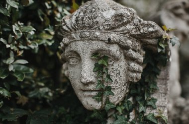 düğün dekor, seçici odak