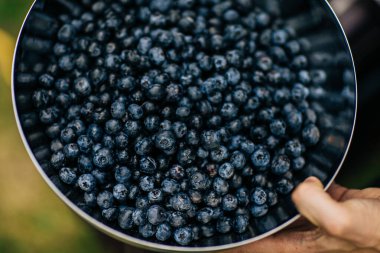 düğün dekor, seçici odak