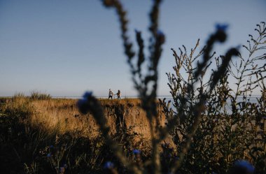 Nişandan sonra gölün yanındaki dağlarda yürüyüş yapan kahverengi tişörtlü şık bir çift. Mutlu erkek ve kız kucaklaşması. Sevgililer Günü için gerçek bir hikaye.
