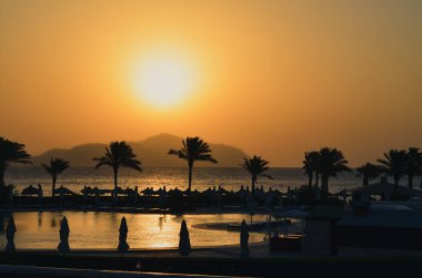 günbatımı dağlar ve palmiye ağaçları ile denizin üzerinden