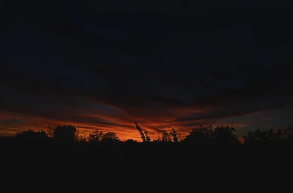 Yellow and red sunset, silhouette of trees, evening — Stock Photo, Image