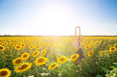 Şapka parlak yaz sabah ayçiçeği alan arka plan açık havada duran genç güzel kadın