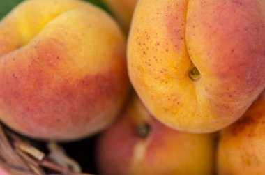 Rustik arka plan üzerinde bir sepet içinde lezzetli olgun kayısı. Sağlıklı gıdalar. Yakın çekim