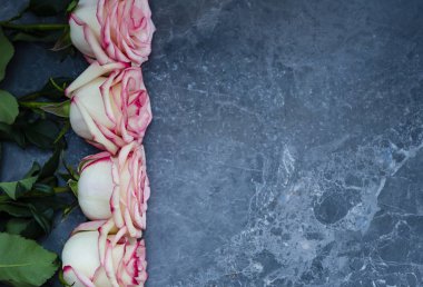 Metin için yer karanlık mermer zemin üzerine gül. Düz yatıyordu