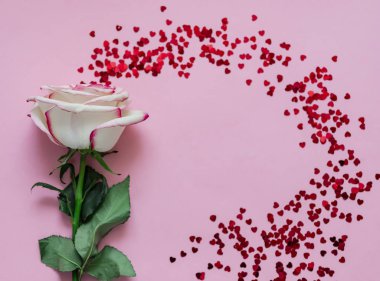 Tek Gül çiçek pembe üzerinde holografik yürekleri wi arka plan