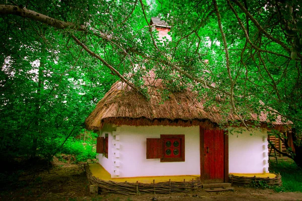 Casa de madeira na floresta com árvores — Fotografia de Stock