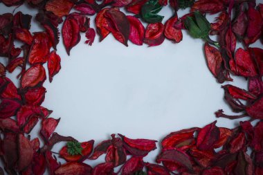 beyaz zemin üzerine kırmızı gül yaprakları