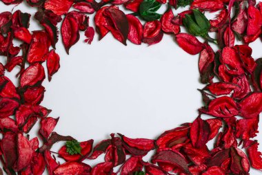 beyaz zemin üzerine kırmızı gül yaprakları