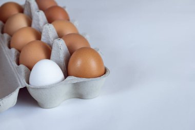 bir beyaz tavuk yumurta ile kahverengi tavuk yumurtası beyaz bir arka plan üzerine açık bir karton tepsisinde