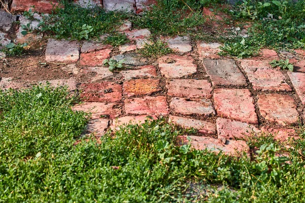 the old brick road overgrown with grass