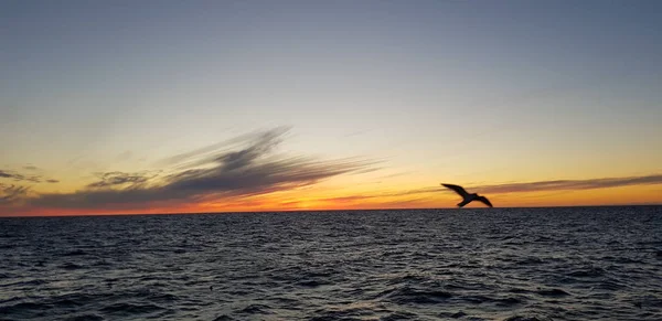 Céu Romance Viagem Marítima — Fotografia de Stock