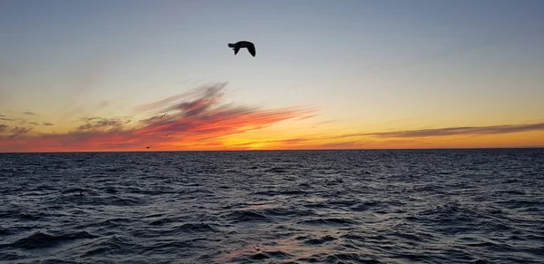 sea sky romance weather sun