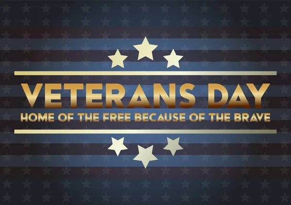 Veteran's Day is a National Holiday celebrated each year on November 11th. Background, poster, greeting card, banner design.