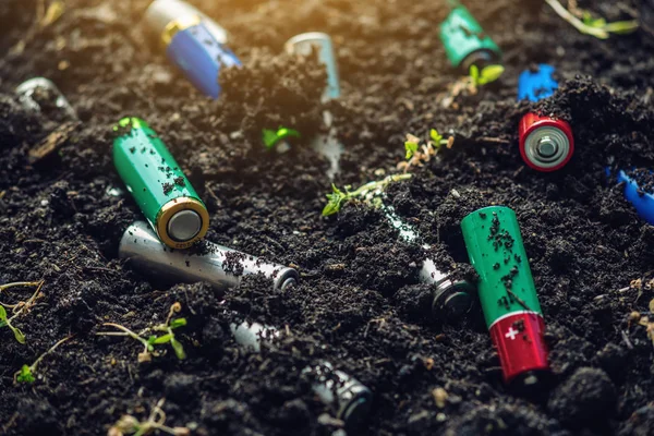 Las Baterías Alcalinas Usadas Encuentran Suelo Donde Crecen Las Plantas —  Fotos de Stock