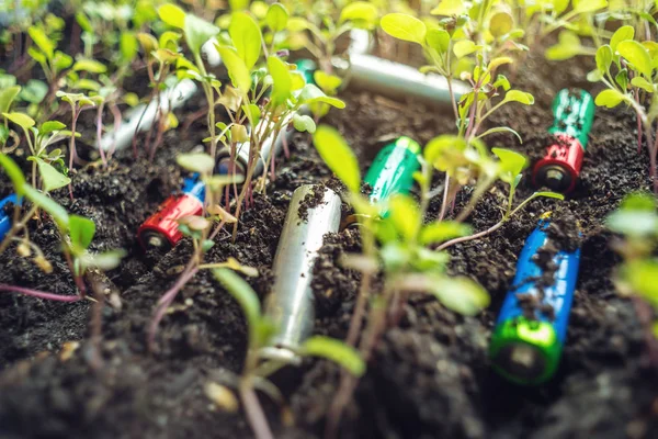 Las Baterías Alcalinas Usadas Encuentran Suelo Donde Crecen Las Plantas —  Fotos de Stock