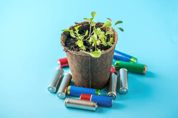 Las Baterías Alcalinas Usadas Encuentran Con Plantas Verdes Germinadas Concepto —  Fotos de Stock