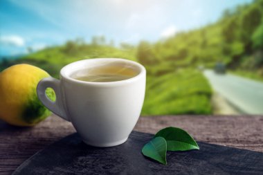 Fincan yeşil çay tarlaları arka plan üzerinde masada limon parçası ile. Kavram çay içecek endüstrisi