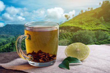 Cam fincan kahverengi çay tarlaları arka plan üzerinde masada limon parçası ile. Kavram çay içecek endüstrisi