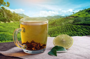 Cam fincan kahverengi çay tarlaları arka plan üzerinde masada limon parçası ile. Kavram çay içecek endüstrisi