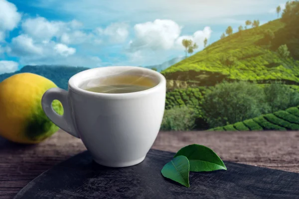 Чашка Горячего Зеленого Чая Кусочком Лимона Столе Фоне Плантаций Концепция — стоковое фото