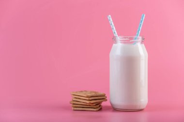 Cam şişe iki saman ve çerezler üzerinde pembe bir arka plan ile taze süt. Renkli minimalizm. Kalsiyum sağlıklı süt ürünleri kavramı