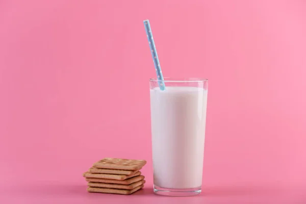 분홍색 배경에 신선한 우유의 다채로운 미니입니다 칼슘과 제품의 — 스톡 사진