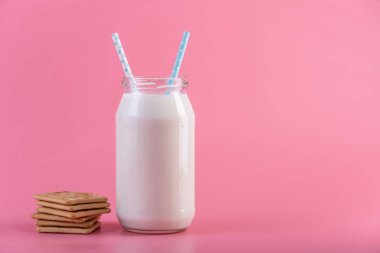 Cam şişe iki saman ve çerezler üzerinde pembe bir arka plan ile taze süt. Renkli minimalizm. Kalsiyum sağlıklı süt ürünleri kavramı