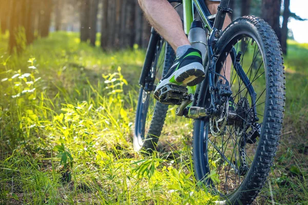 Cycliste Sur Vélo Montagne Vert Dans Les Bois Chevauchant Sur — Photo