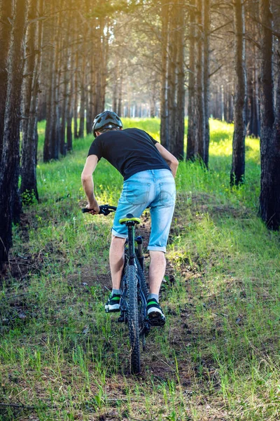 Ormanda ağaçların arasında bir yeşil dağ bisikleti binme bir kask içinde bir adam. Arkadan görünüm. Etkin ve sağlıklı yaşam kavramı