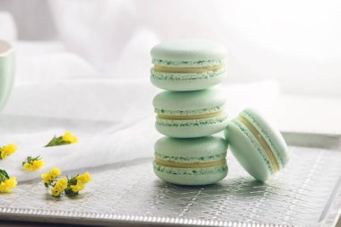 Turkuaz nane macarons. Hassas tatlı kahvaltı için sabah ışığında Fransız.