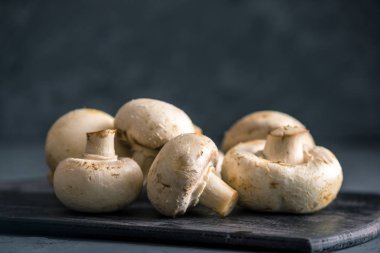 Taze beyaz Petrol karanlık mutfak masasının üzerinde. Mantar ile lezzetli yemekleri pişirme