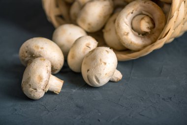 Karanlık mutfak masasında sepeti taze beyaz şampiyonları. Mantar ile lezzetli yemekleri pişirme