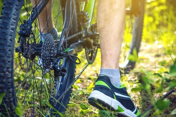 Çimenlerin üzerinde sürme ormanda bir yeşil dağ bisiklet bisikletçi. Yukarıdan aşağıya ve arkadan görünüş. Etkin ve aşırı yaşam kavramı