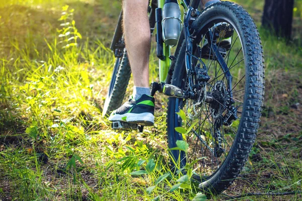 Cyclist on a green mountain bike in the woods riding on the grass. Bottom and back view. The concept of active and extreme lifestyle