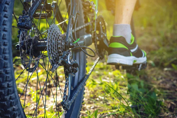 Çimenlerin üzerinde sürme ormanda bir yeşil dağ bisiklet bisikletçi. Yukarıdan aşağıya ve arkadan görünüş. Etkin ve aşırı yaşam kavramı