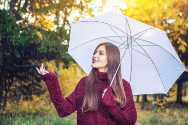 Mutlu genç kadın kırmızı kazaklı bir Sunny Park'ta yağmur altında beyaz bir şemsiye ile yürür. Mevsim ve sonbahar ruh kavramı