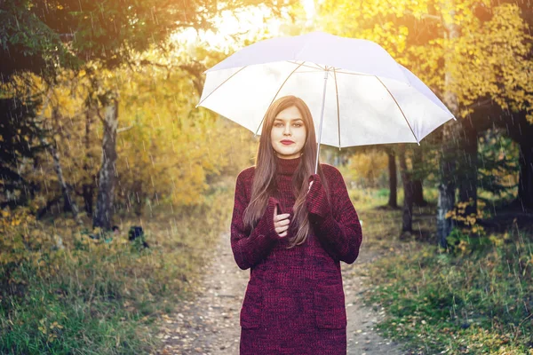 Mutlu Genç Kadın Kırmızı Kazaklı Bir Sunny Park Yağmur Altında — Stok fotoğraf