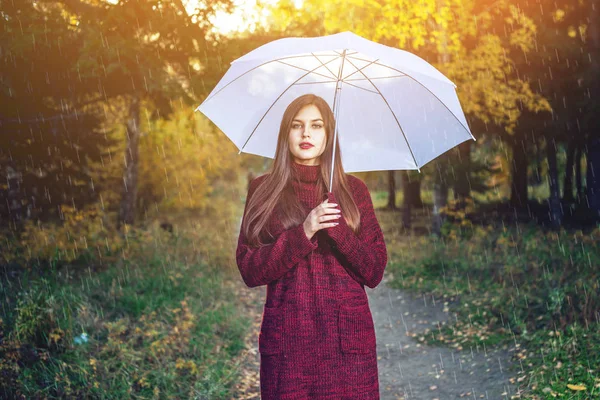 Mutlu Genç Kadın Kırmızı Kazaklı Bir Sunny Park Yağmur Altında — Stok fotoğraf