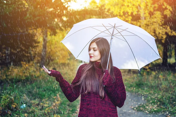 Mujer Joven Feliz Suéter Rojo Camina Sunny Park Con Paraguas — Foto de Stock