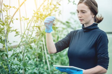 Kadın uzman ziraat mühendisi toprak ve bir tablet örneği tutuyor. Kavram çevre dostu çiftlik üretim nitrat olmadan.