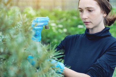 Toprak örneği ve bir tablet tutan genç ziraat mühendisi kadın. Kavram çevre dostu çiftlik üretim nitrat olmadan.