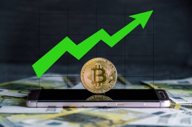 Fiziksel bitcoin sikke üzerinde Euro banknot arka üstünde belgili tanımlık telefon perde. Yeşil ok fiyat büyüme grafiği